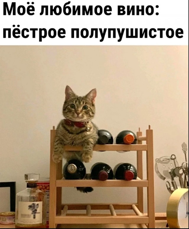 Немного картинок и прочей хреноты Vol. 11