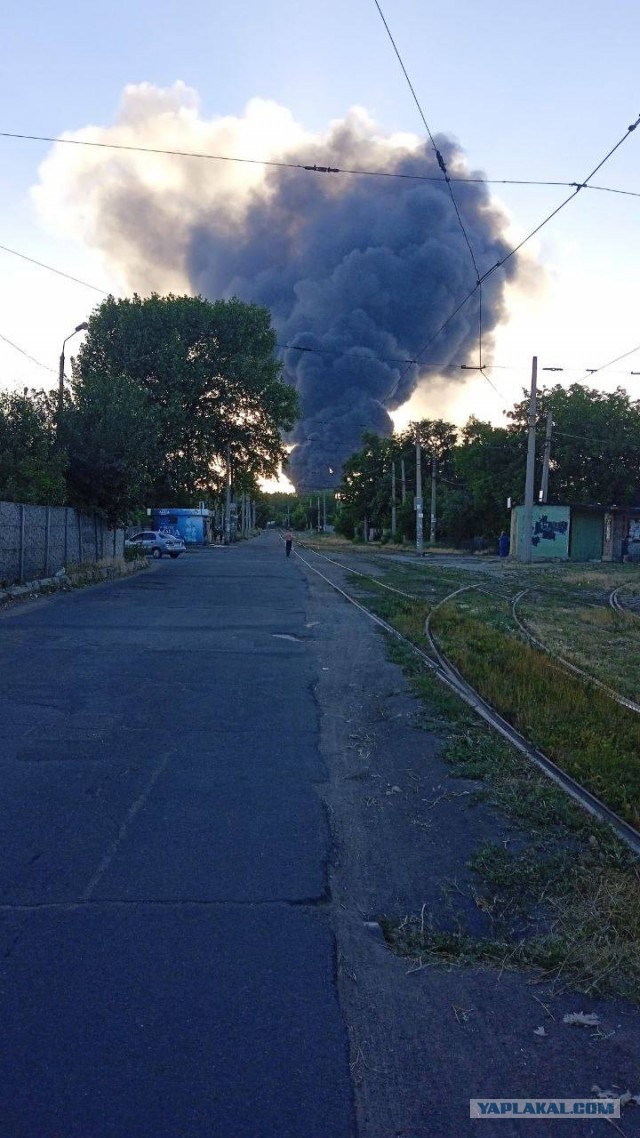 Конашенков объявил паузу спецоперации