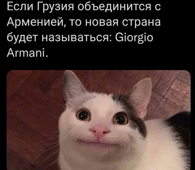 17299547.jpg