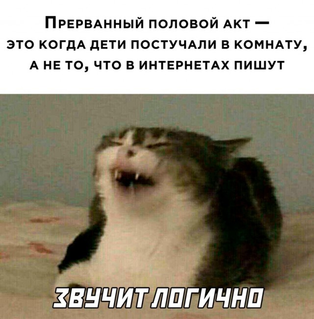 Картинки и мемы, всем хороших выходных