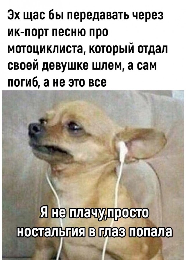 Так себе картинки 25.10.22