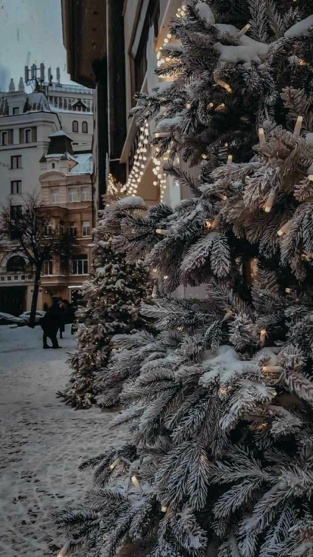 Просто фотографии