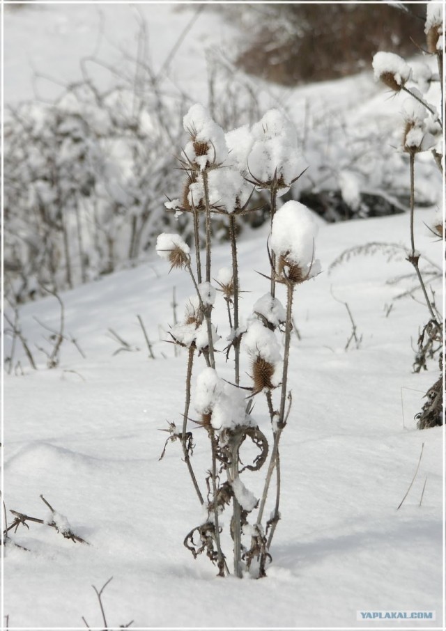 Крым. Терновка. Зимние дороги.