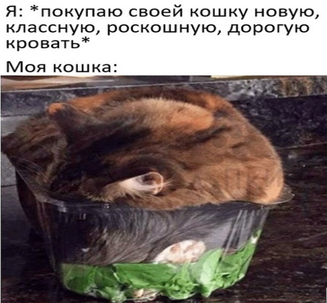 Немного картинок для настроения - 117