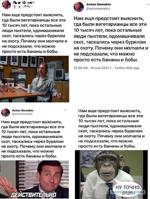Весёлый полтишок 30.11.22
