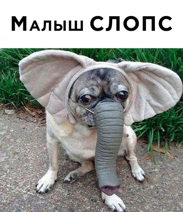 Немного картинок для настроения - 137