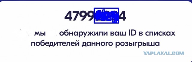 Мегалохотрон