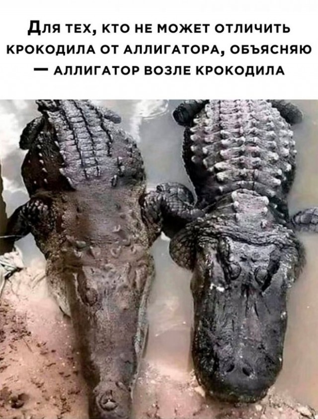 Картинки и мемы, всем хороших выходных