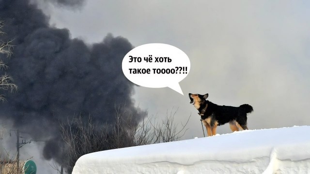 Этот безумный день завершился без лишнего кровопролития, но оставил всех, скорее, в недоумении — из-за неожиданной развязки конфликта с участием Лукашенко