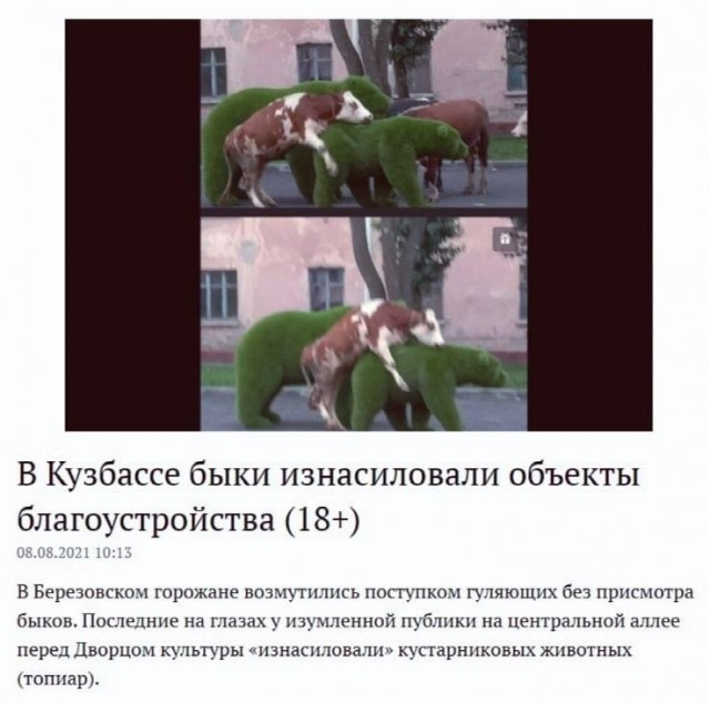 Так себе картинки 11.12.23