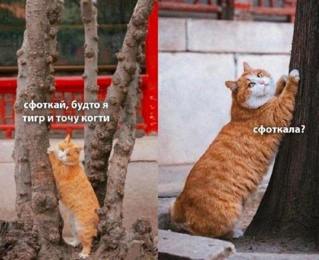 Всего понемногу. От 18.12.23