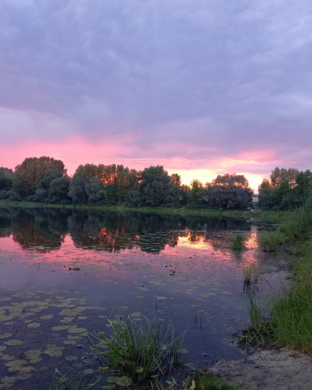 Фото с летней рыбалки