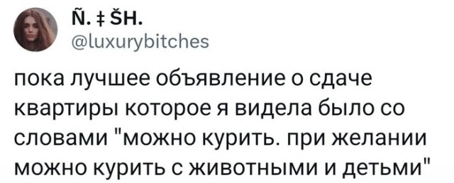 Забавные комментарии из социальных сетей (26.02.24)