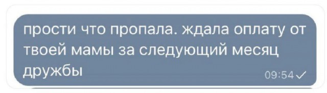 Весёлый полтишок 20.05.24