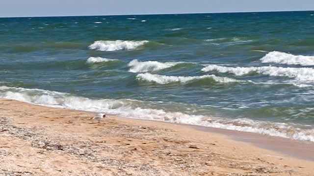 Прогулка по пляжу Азовского моря