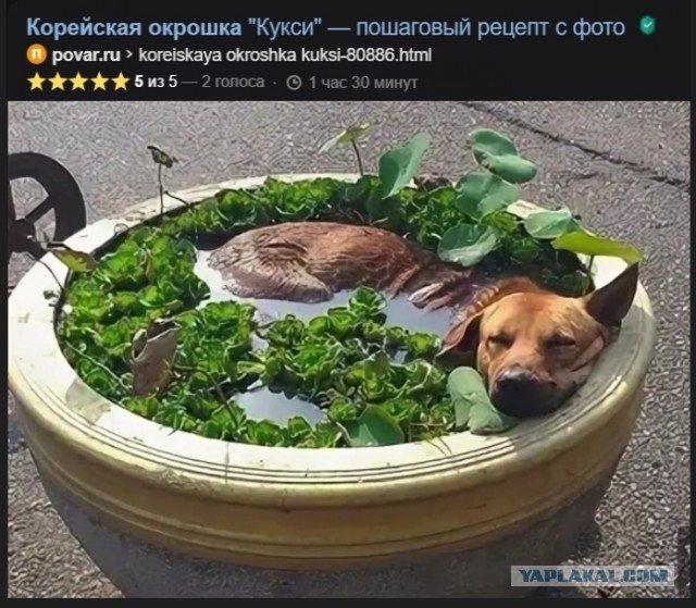 Сборник бабаянов или неожиданная помойка от Неждалигады