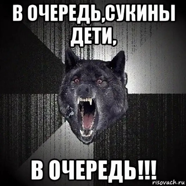 В Совете Федерации осудили мужчин, ходящих в спортзалы, потому что это не соответствует традиционным ценностям.