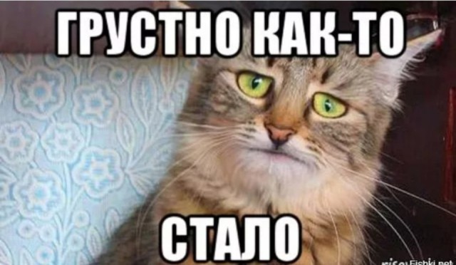 Муксуна малосольного из Сургута подогнали