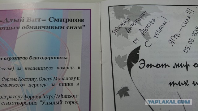 Кусочек торта за 65 тысяч купил пьяный гость на свадьбе в Ульяновске