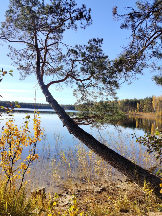 Осень на озёрах 2