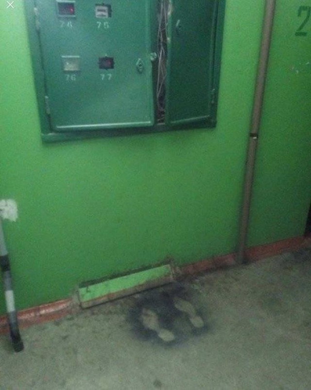 Прикольные и просто красивые картинки 08.10.2024