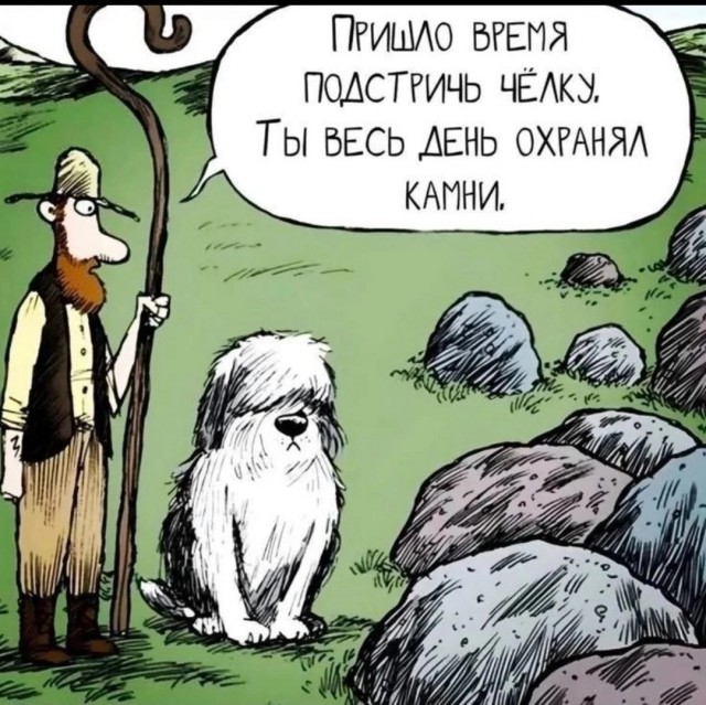 Так себе картинки 03.12.24