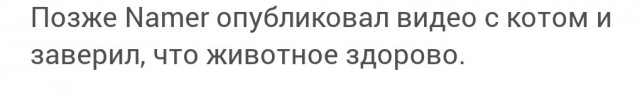 Как обычный русский котейка несправедливо пострадал из-за проигрыша каких-то заморских жабоедов