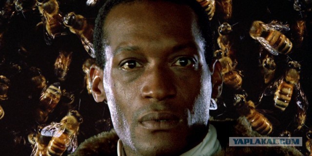 Даже пчелы боялись его