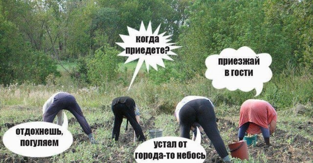 Во время майских выходных  повысилась активность полетов российских бизнес-джетов, связанных с политиками и предпринимателями