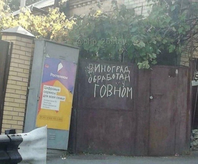 Веселые картинки в маленькую пятницу (28.05)