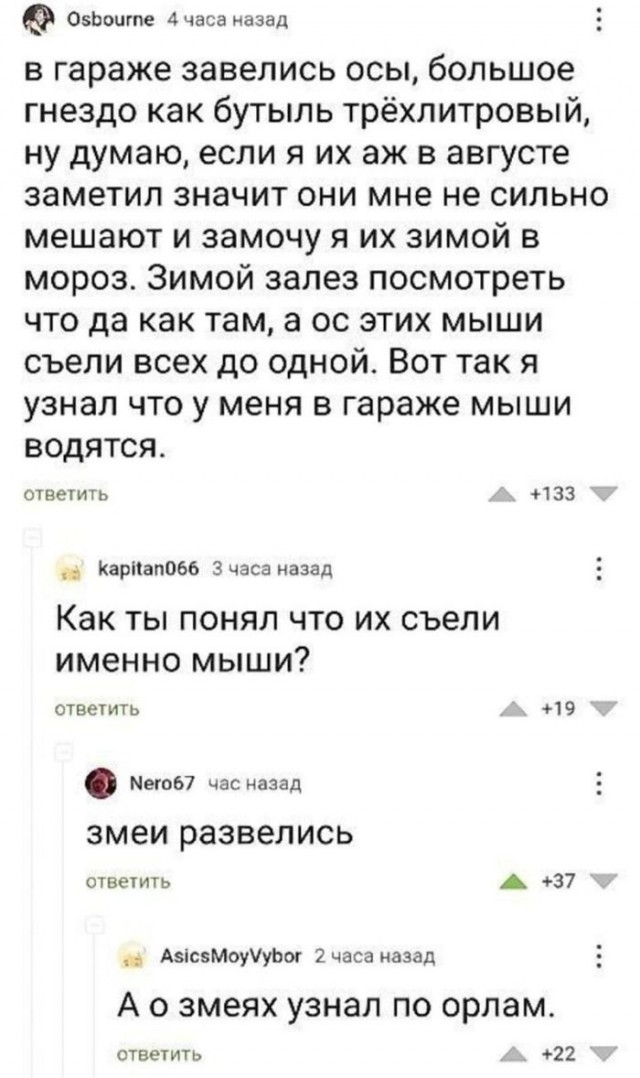 Так себе картинки 22.06.25