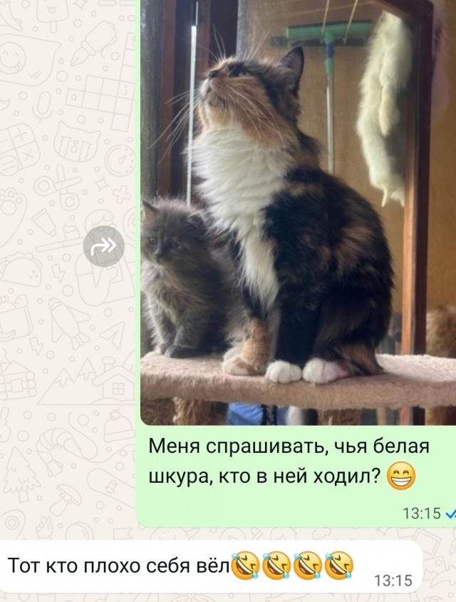 Мистика. Теперь их трое.