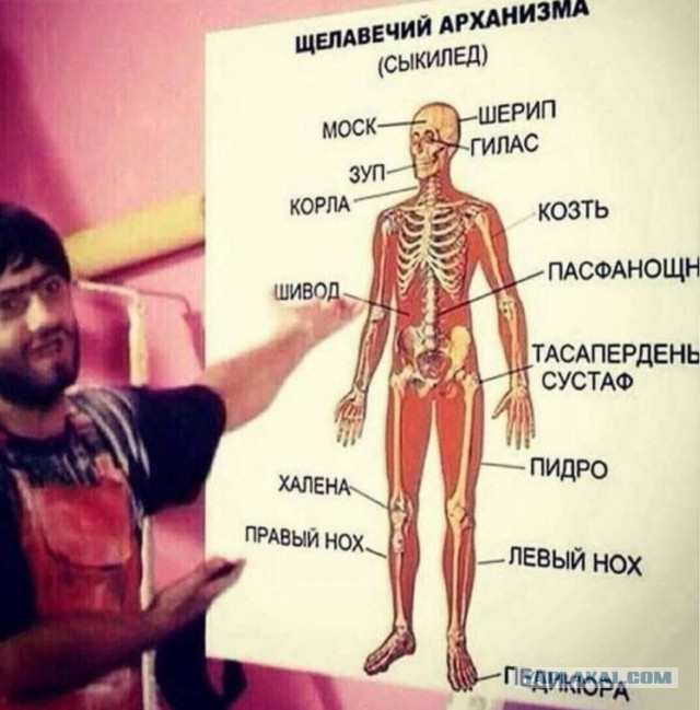 Главврачом медицинского центра во Владимире назначен 26-летний мигрант-таджик без медицинского образования и опыта работы