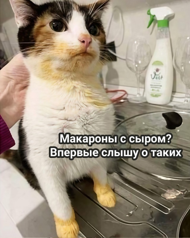 Так себе картинки 29.11.25