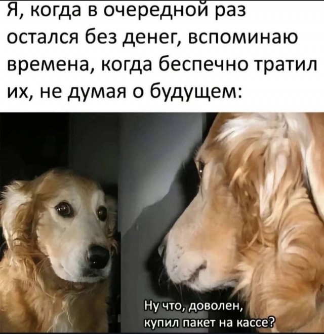 Прикольные и просто красивые картинки 02.12.2025