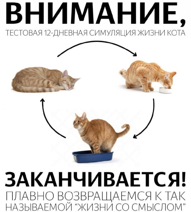 АРТ-Воскресенье