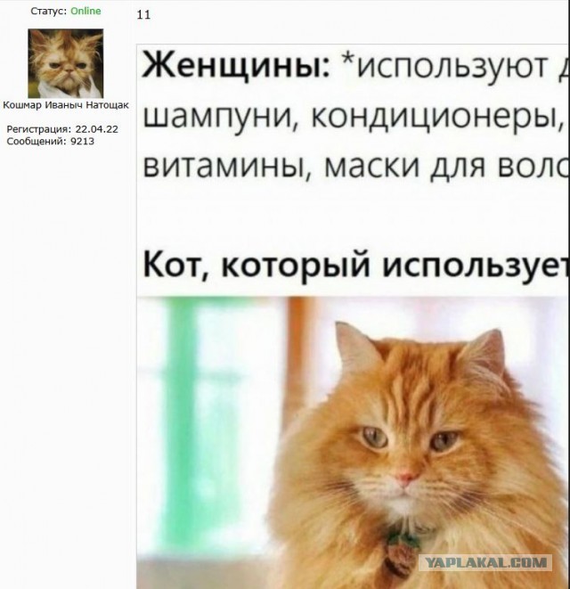Картинки для деградации 123 (разной степени свежести)