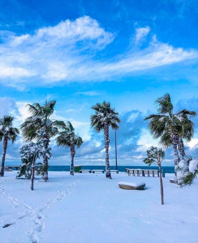 Море