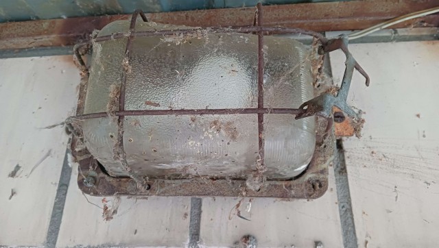 Выпьем, не чокаясь... за лампочку над парадной.