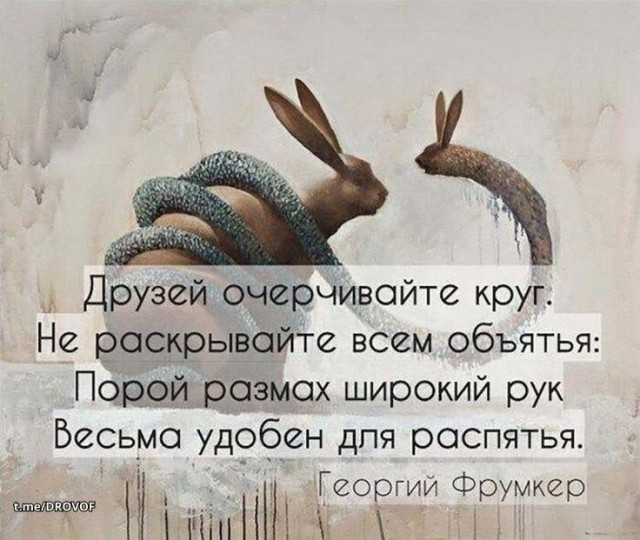 Тема дня