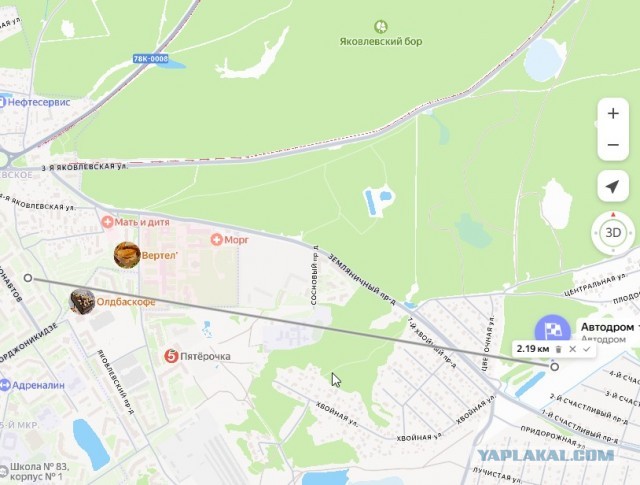 Плохие питбайкеры остались в городе, а хорошие уехали в лес