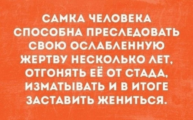 Веселые картинки в понедельник (08.06)