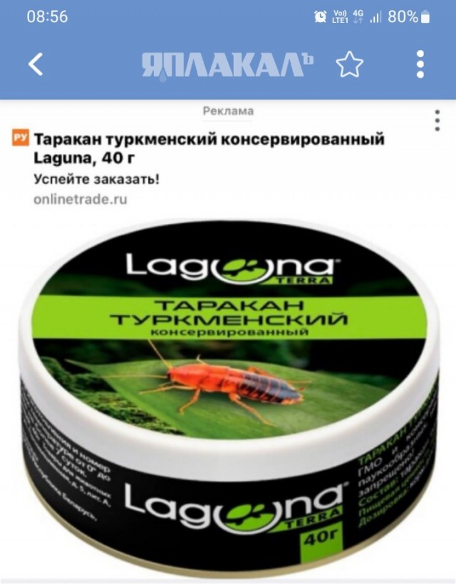Где я сделал что-то не так?