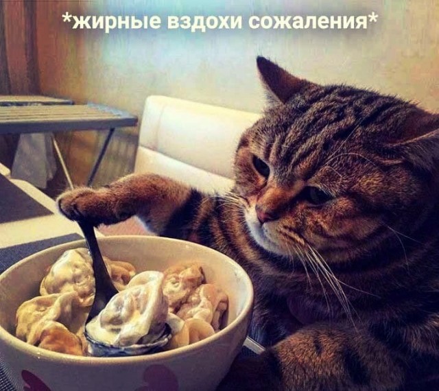 Завораживающее зрелище