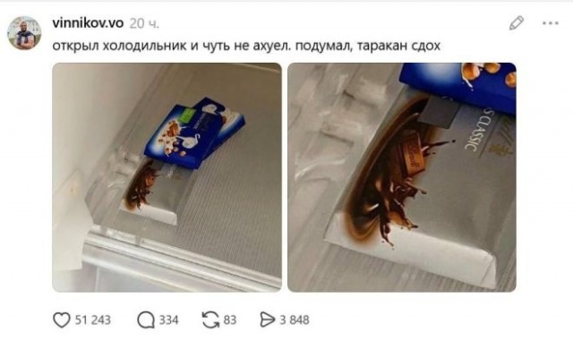 Веселые картинки в пятницу (17.07)