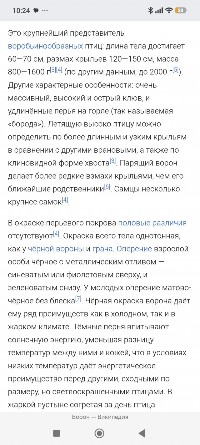 Ворон принимает ванну