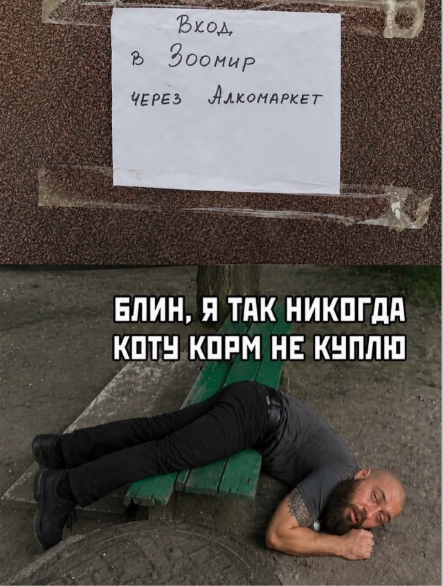 Веселое настроение в картинках 17.08.26