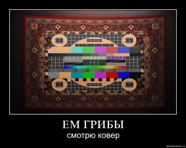 4 года условно за торренты.