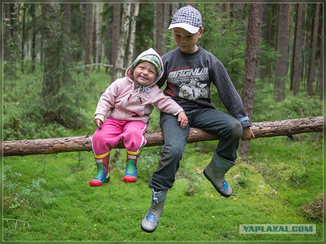 Визуализируем свои ники!