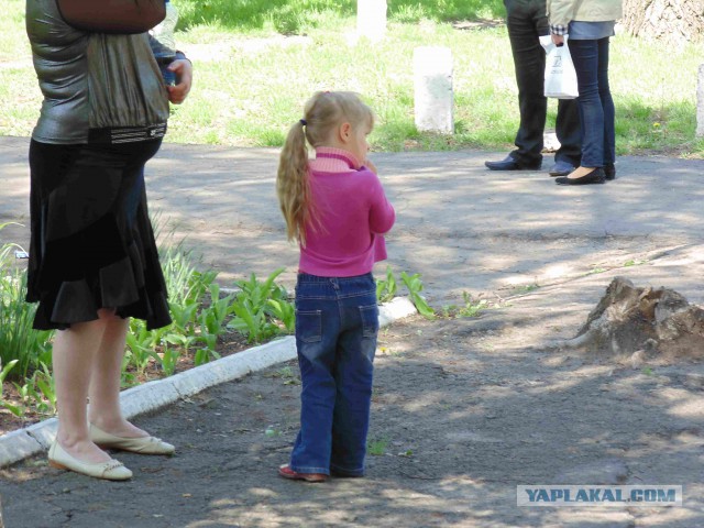 Подборка фото с референдума